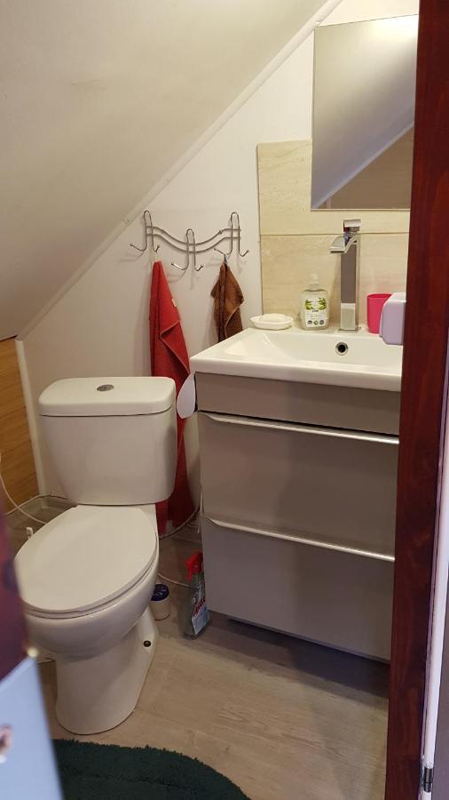 Turystyczny Apartament Na Poddaszu Skoczow Bagian luar foto