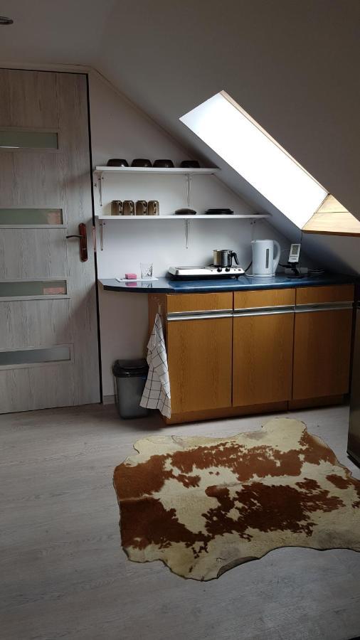 Turystyczny Apartament Na Poddaszu Skoczow Bagian luar foto